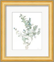 Eucalyptus II Cool Fine Art Print