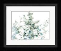 Eucalyptus I Cool Fine Art Print