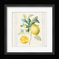 Floursack Lemons IV Sq Navy Framed Print
