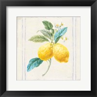 Floursack Lemons III Sq Navy Framed Print