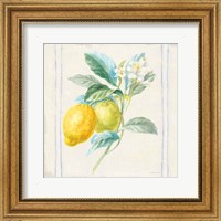 Floursack Lemons II Sq Navy Fine Art Print