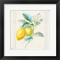 Floursack Lemons II Sq Navy Framed Print