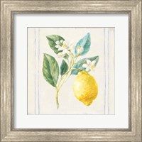 Floursack Lemons I Sq Navy Fine Art Print