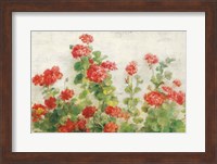 Red Geraniums on White v2 Fine Art Print