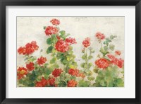 Red Geraniums on White v2 Fine Art Print
