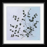 Botanical Study VII Blue Framed Print