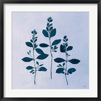 Botanical Study IV Blue Framed Print