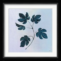 Botanical Study III Blue Framed Print