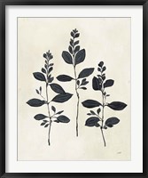 Botanical Study IV Framed Print