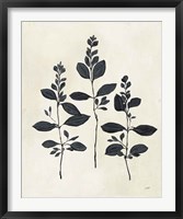Botanical Study IV Framed Print