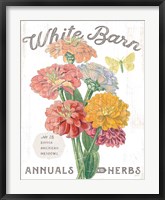 White Barn Flowers V Framed Print