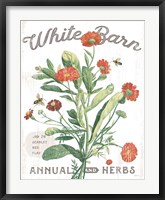 White Barn Flowers IV Framed Print