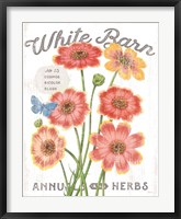 White Barn Flowers III Framed Print