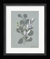 Watercolor Greenery Series Medium Teal I Fine Art Print