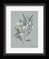 Watercolor Greenery Series Medium Teal II Fine Art Print