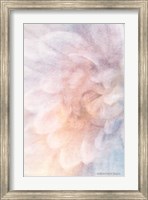 Soft Dahlia Pastel Blue Lilac Fine Art Print