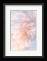 Soft Dahlia Pastel Blue Lilac Fine Art Print