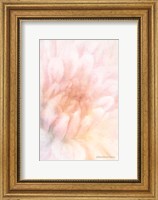 Soft Dahlia Pastel Peach Fine Art Print