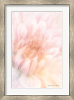 Soft Dahlia Pastel Peach Fine Art Print