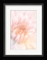 Soft Dahlia Pastel Peach Fine Art Print