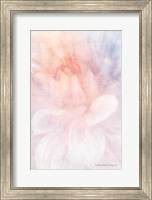Soft Dahlia Pastel Peach Lilac Fine Art Print