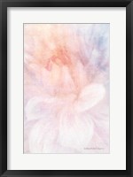 Soft Dahlia Pastel Peach Lilac Fine Art Print