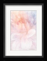 Soft Dahlia Pastel Peach Lilac Fine Art Print