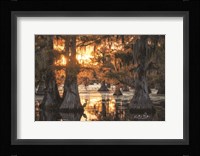 Sunset in the Swamps Fine Art Print