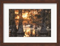 Sunset in the Swamps Fine Art Print
