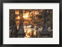 Sunset in the Swamps Fine Art Print