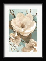 Magnolia II Fine Art Print