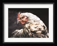 Rooster Portrait Fine Art Print