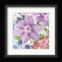 Clematis I Fine Art Print