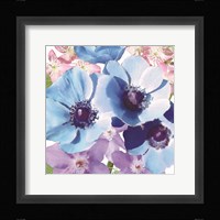 Clematis III Fine Art Print