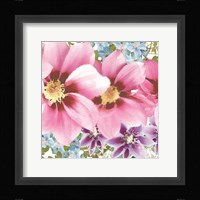 Clematis IV Fine Art Print