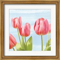 Fresh Spring Tulips I Fine Art Print