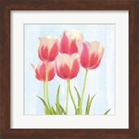 Fresh Spring Tulips III Fine Art Print