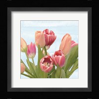 Fresh Spring Tulips IV Fine Art Print