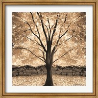 Gold Canopy Tree Fine Art Print