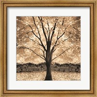Gold Canopy Tree Fine Art Print