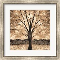 Gold Canopy Tree Fine Art Print