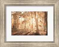 The Gift of Nature Fine Art Print