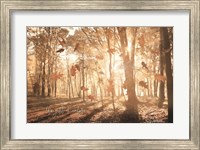 The Gift of Nature Fine Art Print