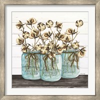 Blue Jars - Cotton Stems Fine Art Print