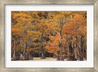 Autumn's Painting Fine Art Print