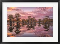 Magnificent Sunset in the Swamps Fine Art Print