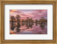 Magnificent Sunset in the Swamps Fine Art Print