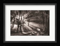 Black and White Rays Fine Art Print