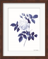 Blue Botanical II Fine Art Print