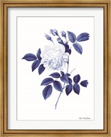 Blue Botanical II Fine Art Print